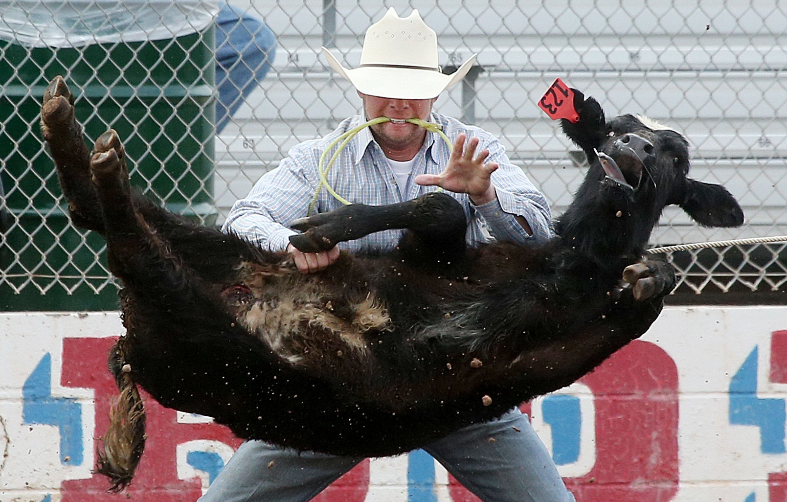 2018 Tucson Rodeo